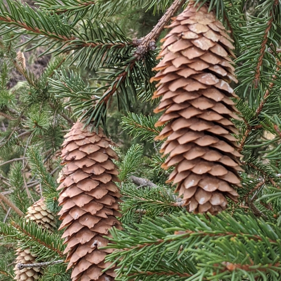 Mimi  ⭐  Poshmark Ambassador - Picture 5 of 5